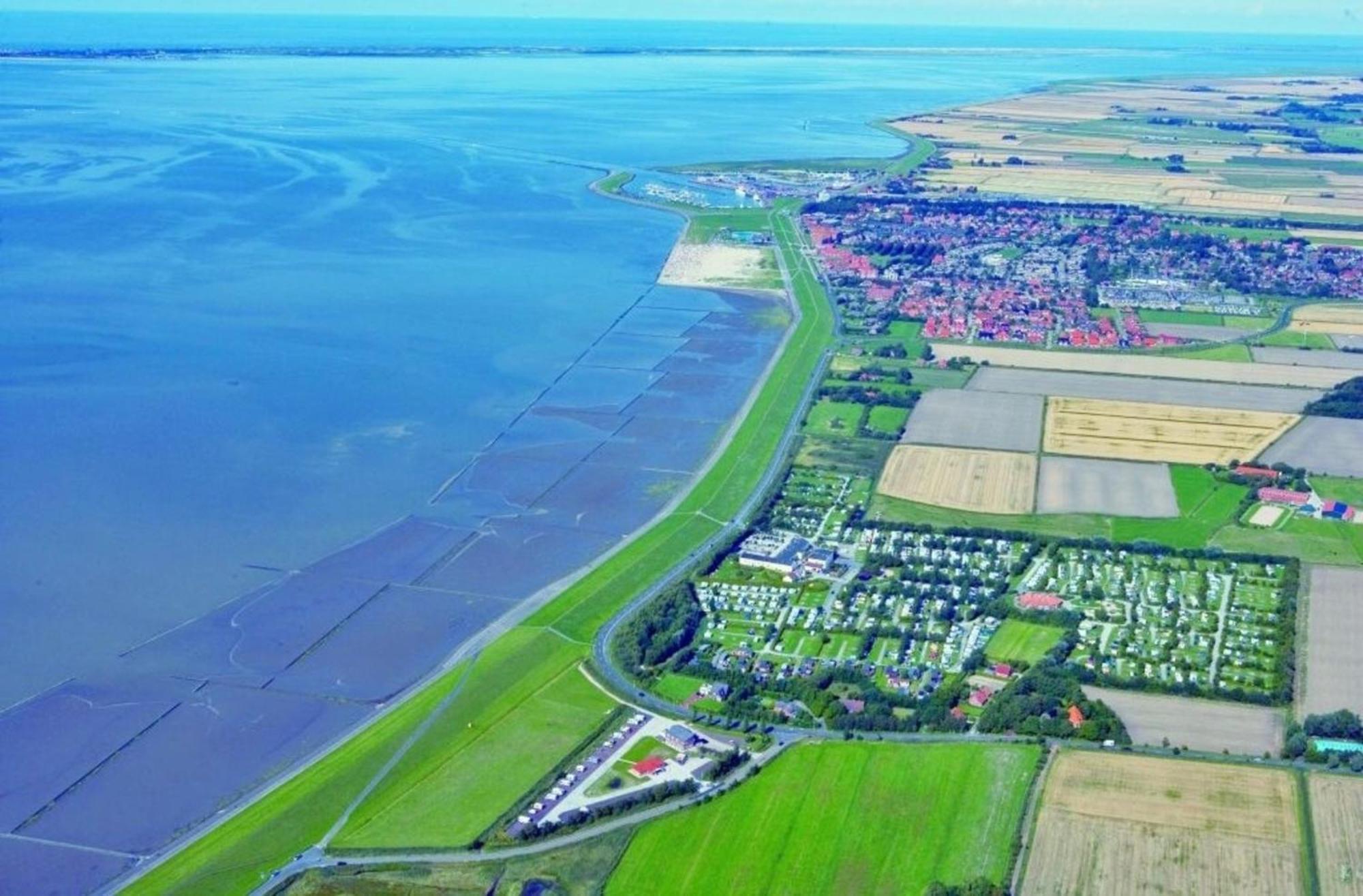 Kleine Nordseewelle Ohne Hund Norden Dış mekan fotoğraf